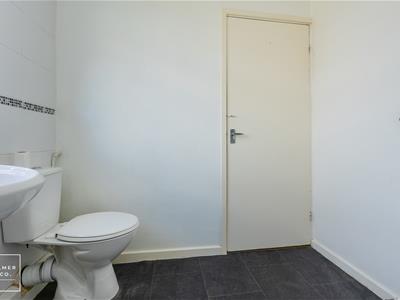 Picture 35